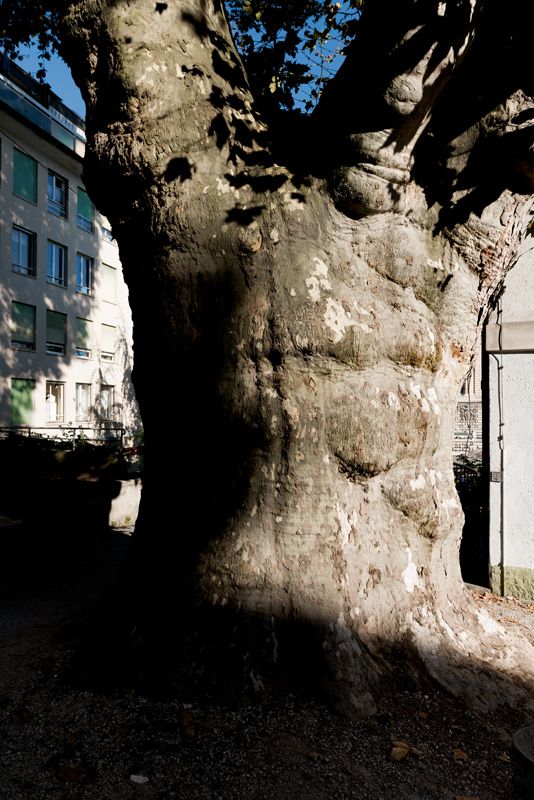 © Marino Trotta – Ville de Lausanne